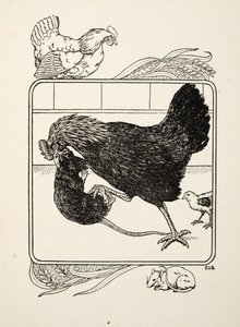 The Heroism of a Hen, från Hundra anekdoter av djur, pub. 1924 av Percy J. Billingshurst