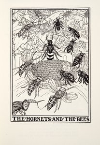 Hornets and the Bees, från Fontaine Fables, pub. 1905 (gravyr) av Percy J. Billingshurst