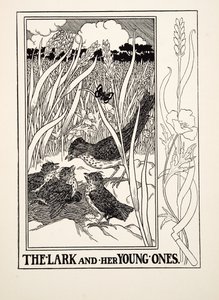 The Lark and her Young Ones, från A Hundred Fables of Aesop, pub.1903 (gravyr) av Percy J. Billingshurst