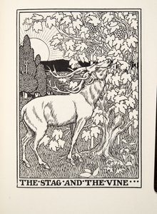 The Stag and the Vine, från Fontaine Fables, pub. 1905