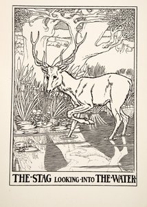 The Stag looking into the Water, från A Hundred Fables of Aesop, pub.1903 (gravyr) av Percy J. Billingshurst
