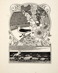 Den tama måsen, från A Hundred Anecdotes of Animals, pub. 1924 (gravyr) av Percy J. Billingshurst