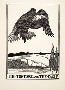 Sköldpaddan och örnen, från Aesops hundra fabler, pub.1903 (gravyr) av Percy J. Billingshurst