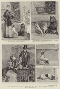 Misären att shoppa med kvinnor från en hunds synvinkel
