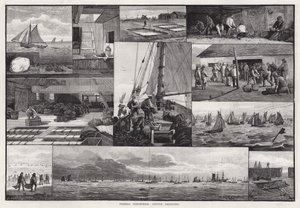Fiskeindustrier, ostronmuddring (gravyr) av Percy Robert Craft