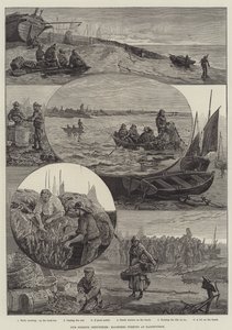 Vår fiskeindustri, makrillfiske i Eastbourne (gravyr)