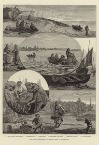 Våra fiskeindustrier: Makrillfiske i Eastbourne av Percy Robert Craft