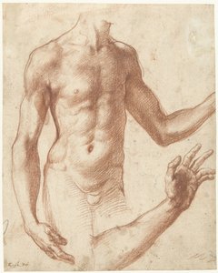 Studie av en torso Studie av en ung mans överkropp av Perino del Vaga