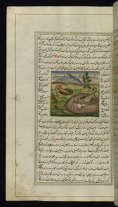 En schakal slukar en hare från Lights of Canopus, 1847 av Persian School