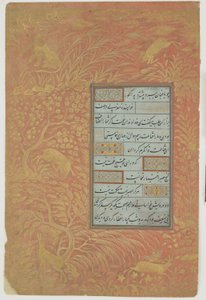 Folio av kalligrafi, Iran, Safaviddynastin (bläck, ogenomskinlig akvarell och guld på papper)