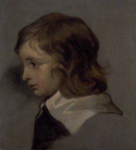 Huvud av en ung pojke (olja på duk) av Peter (follower of) Lely