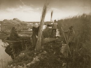 Under skörden av rörflen, liv och landskap på Norfolk Broads, ca 1886