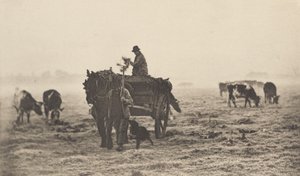A Frosty Morning, 1890-1891, tryckt 1893. av Peter Henry Emerson