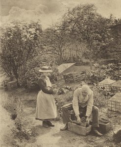 En trädgårdsända. [Suffolk.] av Peter Henry Emerson