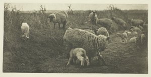A Pastoral March (Suffolk) av Peter Henry Emerson