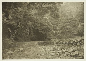 En lugn vrå i Beresford Dale av Peter Henry Emerson
