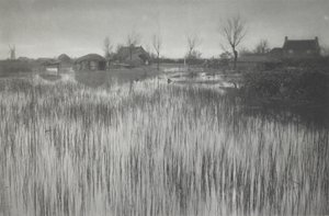 En ruskig strand av Peter Henry Emerson