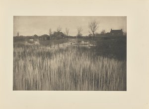 En ruskig strand av Peter Henry Emerson