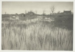En ruskig strand av Peter Henry Emerson