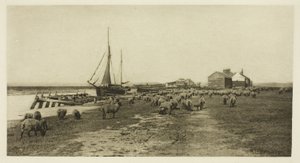 Blackshore, River Blythe (Suffolk) av Peter Henry Emerson