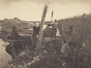 Under vasskörden av Peter Henry Emerson