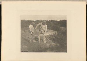 ÅlPlockning i Suffolks vatten av Peter Henry Emerson