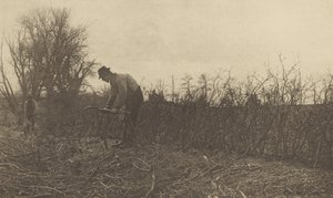 Stängsel i Suffolk av Peter Henry Emerson