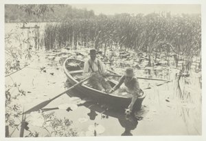 Samla näckrosor av Peter Henry Emerson