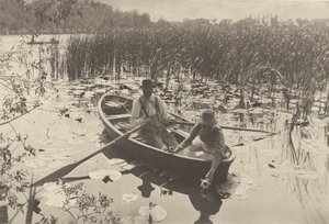 Att samla näckrosor av Peter Henry Emerson