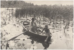 Plockning av näckrosor av Peter Henry Emerson
