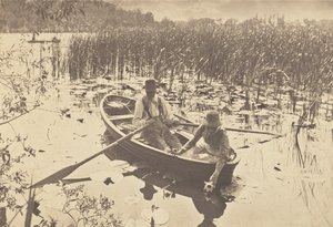 Plockning av näckrosor av Peter Henry Emerson