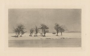 Knotiga taggträd av Peter Henry Emerson