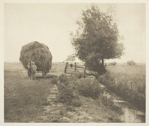 ヘイゼル (ノーフォーク) スウェーデン語で av Peter Henry Emerson