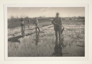 Män som jagar i ett träsk av Peter Henry Emerson