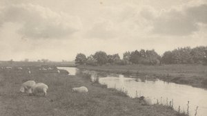 På floden Bure,1886 (foto) av Peter Henry Emerson