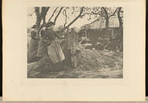 OsierPeeling. [Norfolk]]. av Peter Henry Emerson