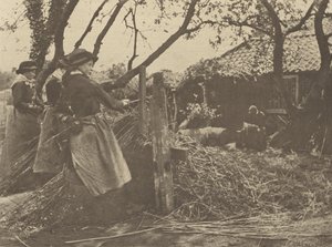 OsierPeeling. [Norfolk]]. av Peter Henry Emerson