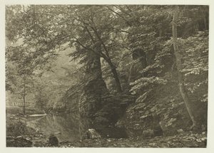 "Pike Pool" (underifrån) av Peter Henry Emerson
