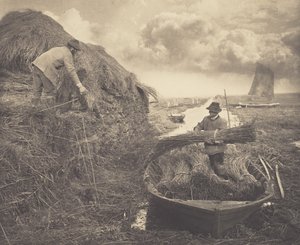 Att stapla vass av Peter Henry Emerson