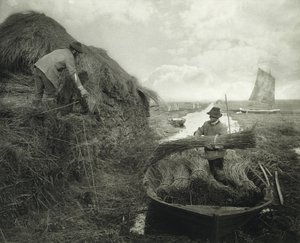 Ricking the Reed, ca 1885 (platinatryck)