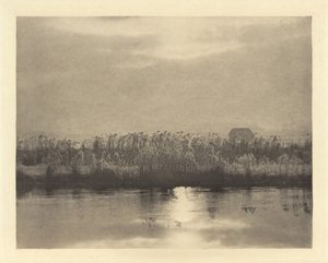 Rime Crystals,i eller före 1895 (foto) av Peter Henry Emerson