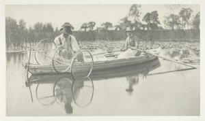 Inställning av bognätet av Peter Henry Emerson