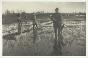 Snip-skytte av Peter Henry Emerson
