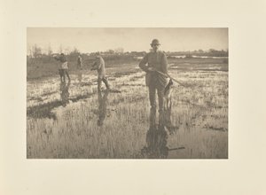 Enkelbeckasinjakt av Peter Henry Emerson