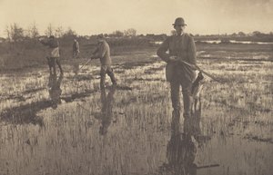 Snäppjakt av Peter Henry Emerson