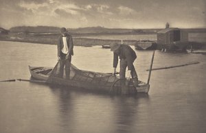 Upptagning av ålnätet av Peter Henry Emerson