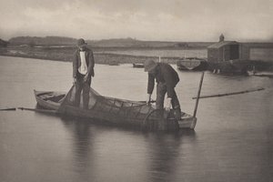 Tar upp ålnätet av Peter Henry Emerson
