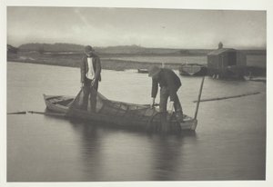 Att ta upp ålnätet av Peter Henry Emerson
