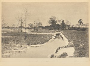 [The Edge of the Broad] av Peter Henry Emerson