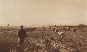 Myrarna i juni av Peter Henry Emerson